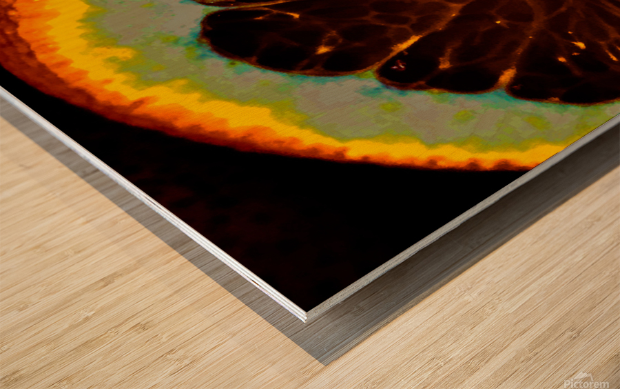 orangecrush Wood print