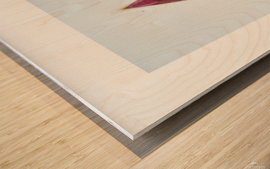 aportal Wood print