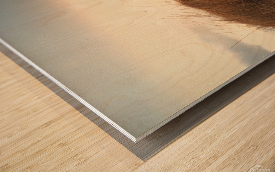 textureofwind Wood print