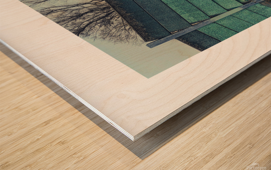 fallingwalls Wood print
