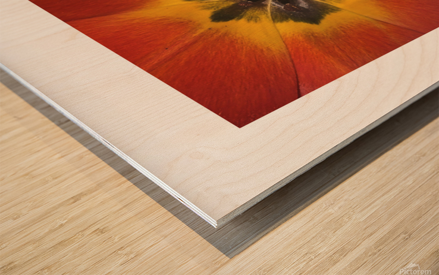 TULIP Wood print
