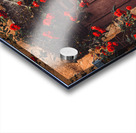 Rustic doorway Valbonne France Acrylic print