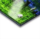 Bluebell Wood Devon Acrylic print