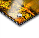 Tamar River Tavistock Devon Acrylic print