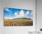 Burgh Island Bigbury Devon Acrylic Print