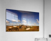 Hound Tor Dartmoor Devon Acrylic Print