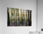 Autumn Trees Abstract Devon Acrylic Print