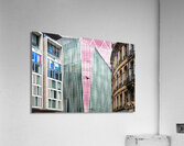 Beauty and the Beasts Acrylic Print