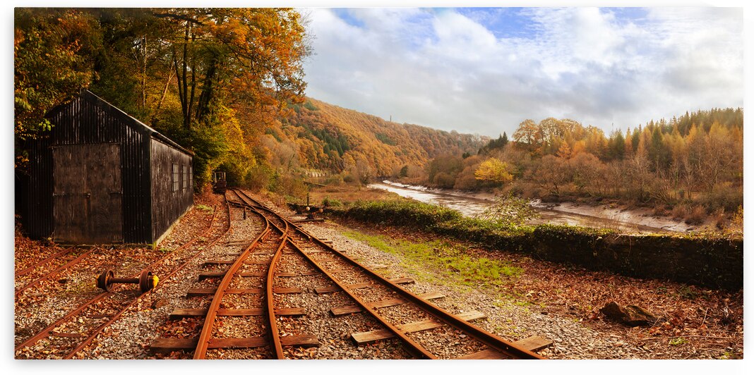 George and Charlotte mine train track by maggie mccall