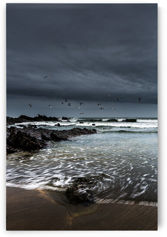 Crackington Haven Cornwall and Seagulls by maggie mccall