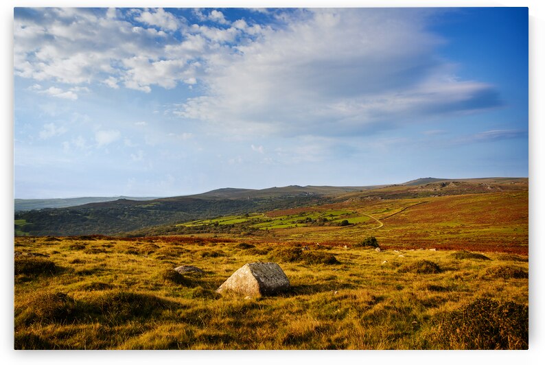 Dartmoor Panorama by maggie mccall
