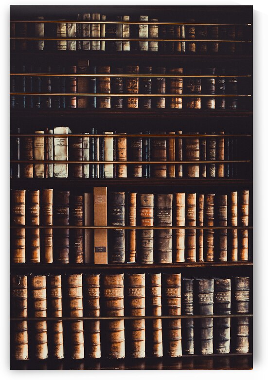 Rows of Books by maggie mccall