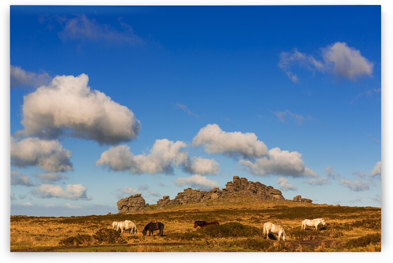 Hound Tor Dartmoor Devon by maggie mccall