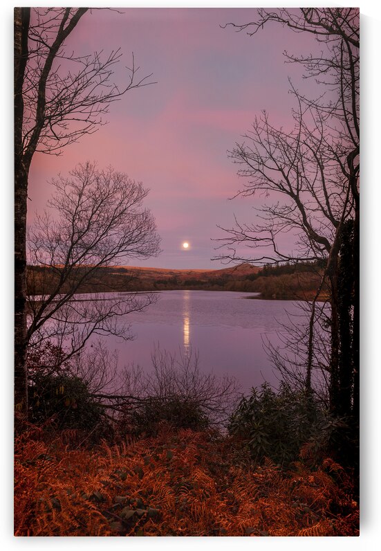 Moon Rise Sunset Burrator Dartmoor Devon by maggie mccall