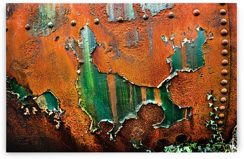 Rusty Petrol Tank Devon by maggie mccall