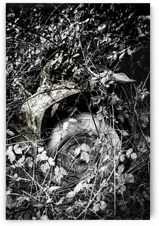 Old Tractor Decaying by maggie mccall