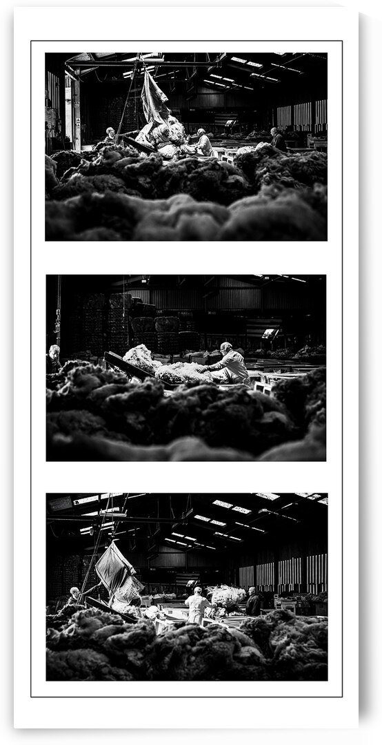 Wool Depot Triptych Liskeard Cornwall by maggie mccall