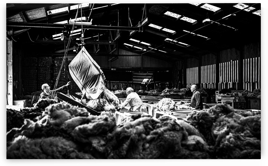 Wool grading Wool Depot Liskeard Cornwall by maggie mccall