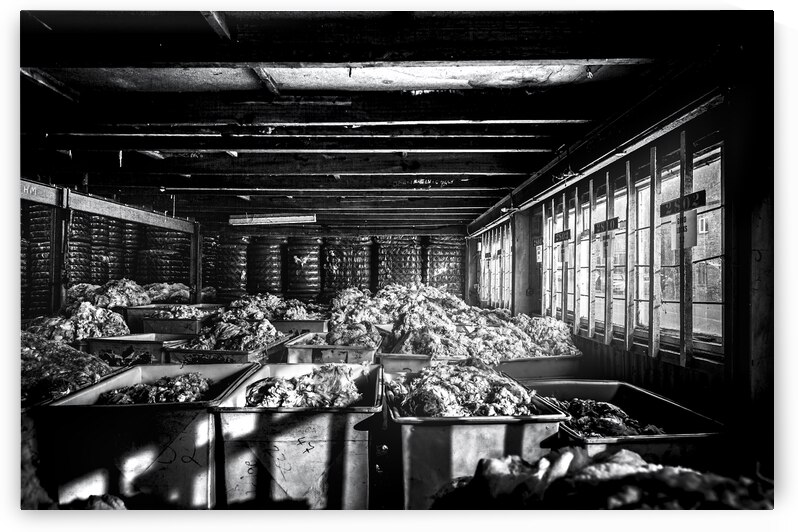 Wool Depot Liskeard Cornwall by maggie mccall