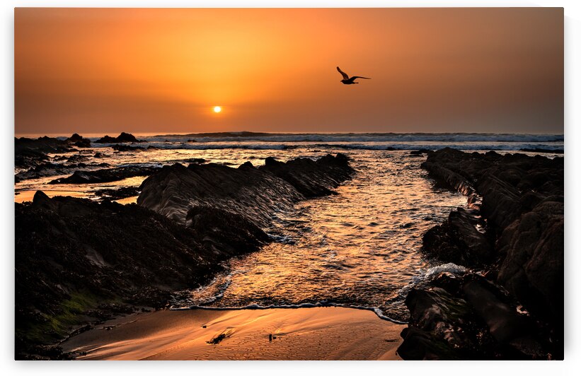 Widemouth Sunset Cornwall by maggie mccall