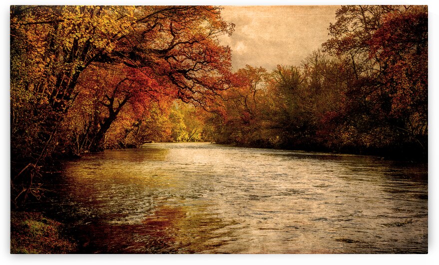 Autumnal River Tamar by maggie mccall