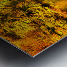 Tamar River Tavistock Devon Metal print