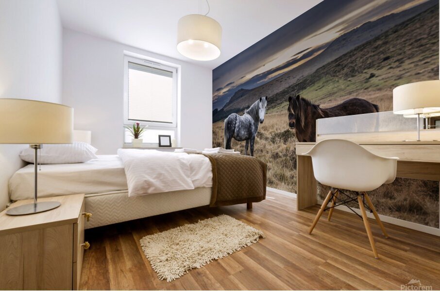 Dartmoor Ponies Devon Mural print
