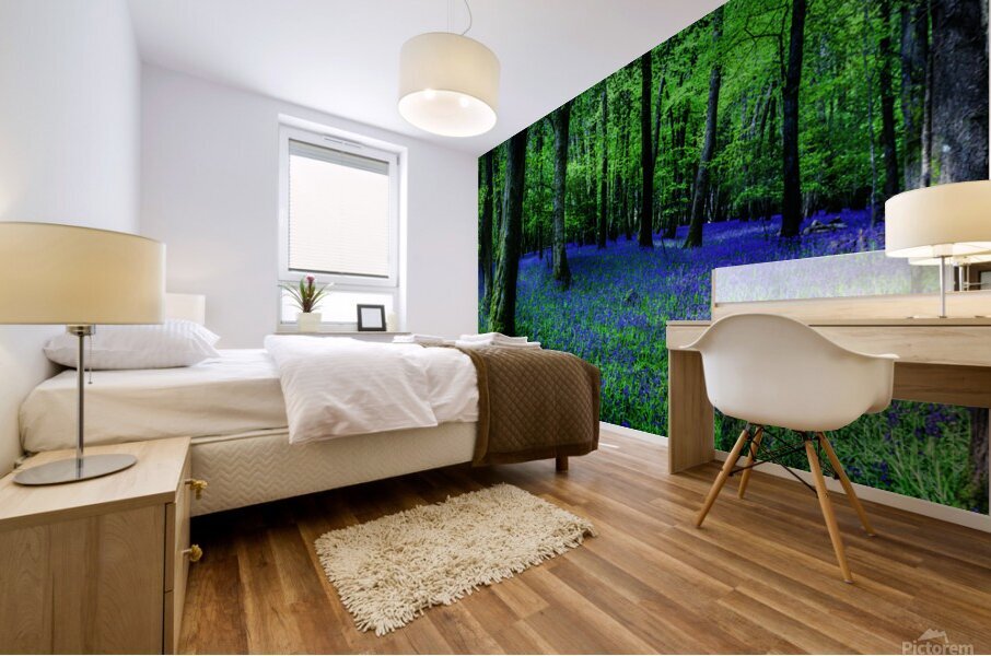Bluebell Wood Devon. Mural print