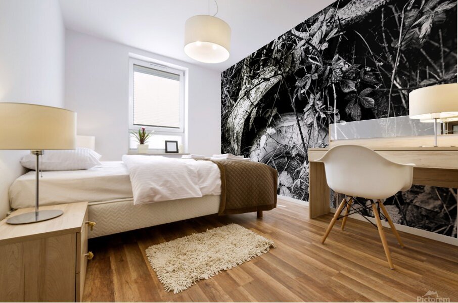 Old Tractor Decaying Mural print