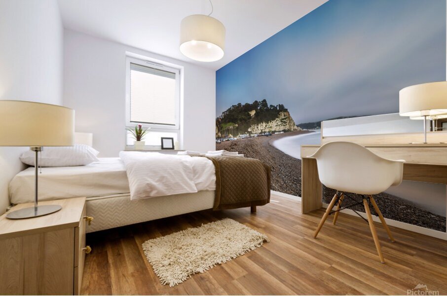 Beer Beach Devon Mural print