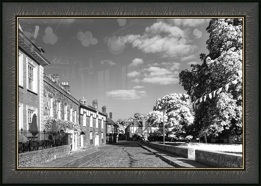 Cathedral Close Exeter Devon Picture Frame print