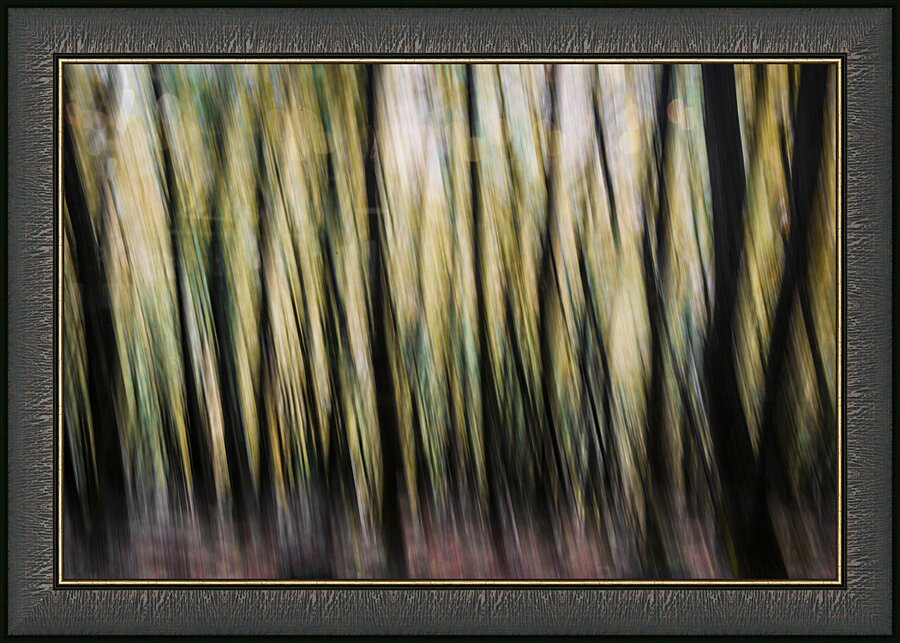 Autumn Trees Abstract Devon Picture Frame print