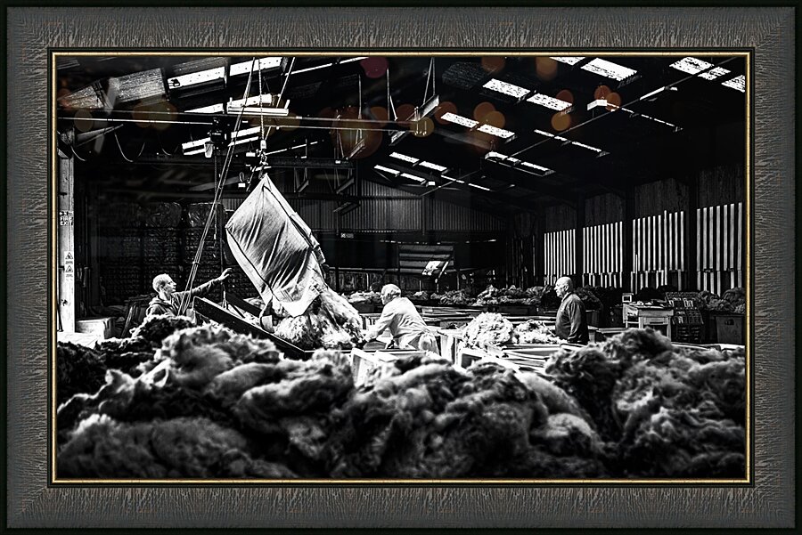 Wool grading Wool Depot Liskeard Cornwall Picture Frame print