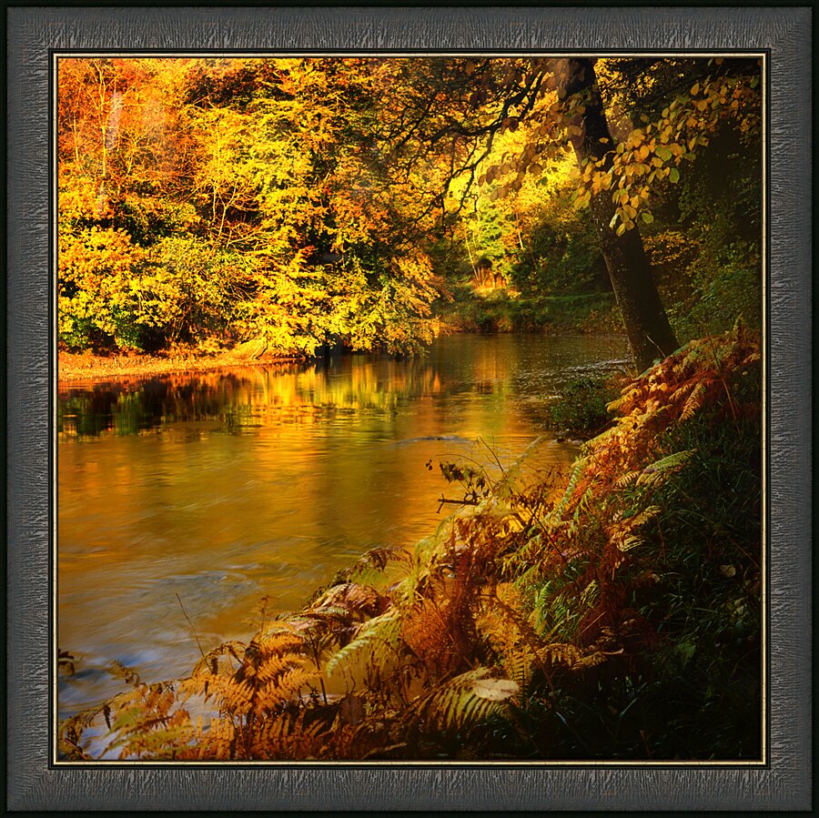 Tamar River Tavistock Devon Picture Frame print