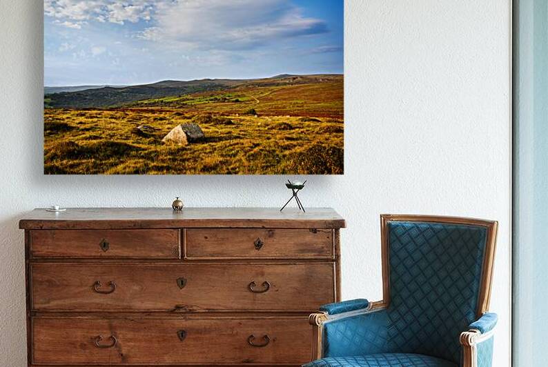 Dartmoor Panorama by maggie mccall