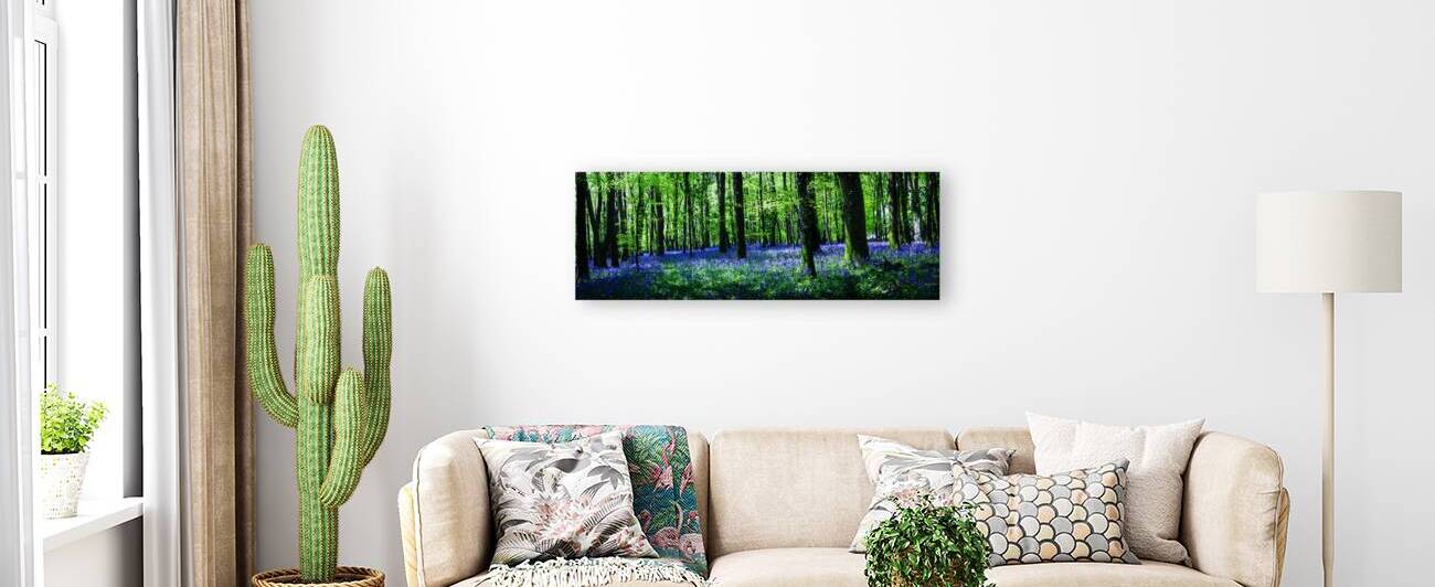 Bluebell Wood Tavistock Devon by maggie mccall