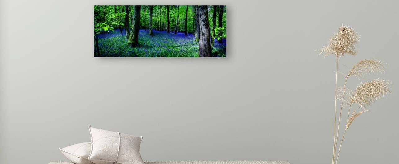Bluebell Wood Devon. by maggie mccall