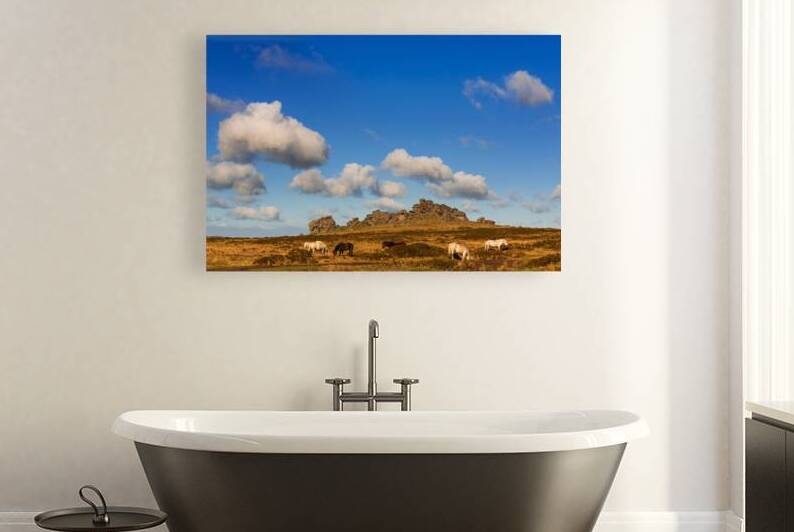 Hound Tor Dartmoor Devon by maggie mccall