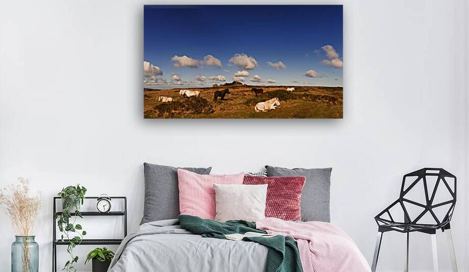 Hound Tor Dartmoor Devon by maggie mccall