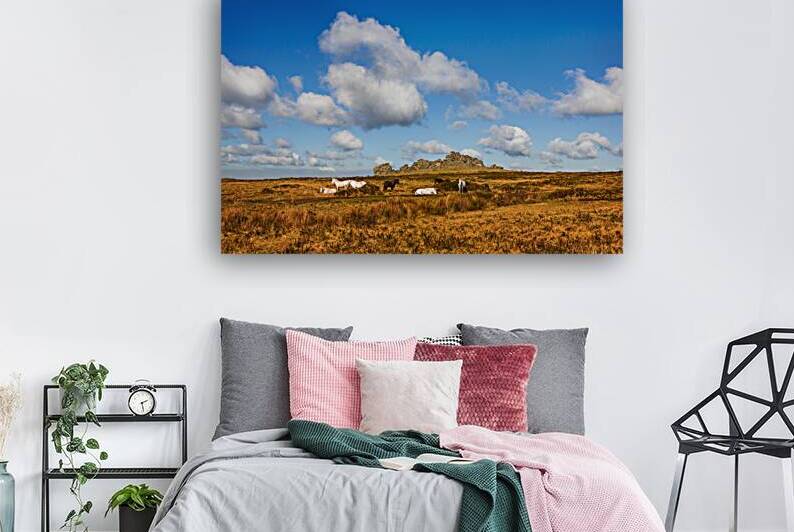 Hound Tor Dartmoor Devon by maggie mccall
