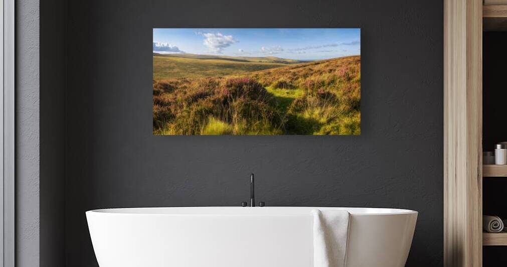 Dartmoor at North Bovey Devon by maggie mccall