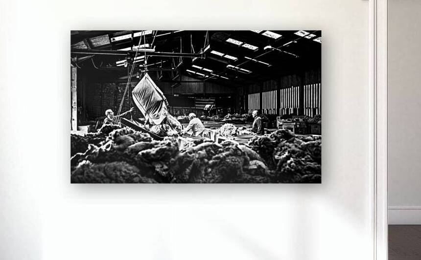 Wool grading Wool Depot Liskeard Cornwall by maggie mccall