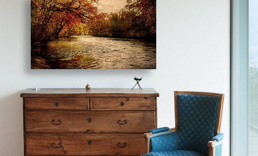 Autumnal River Tamar by maggie mccall