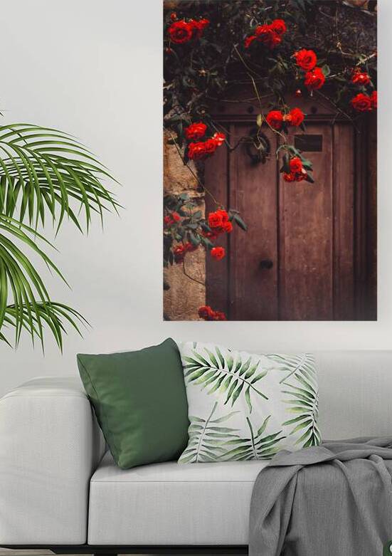 Rustic French doorway Valbonne France by maggie mccall