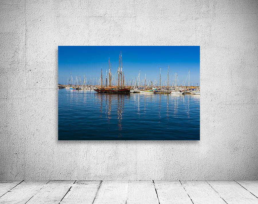 Yachts at Brixham Devon Wall Preview