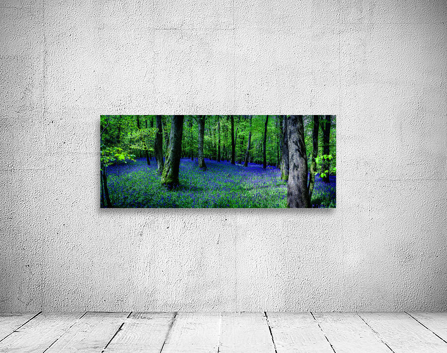 Bluebell Wood Devon. Wall Preview
