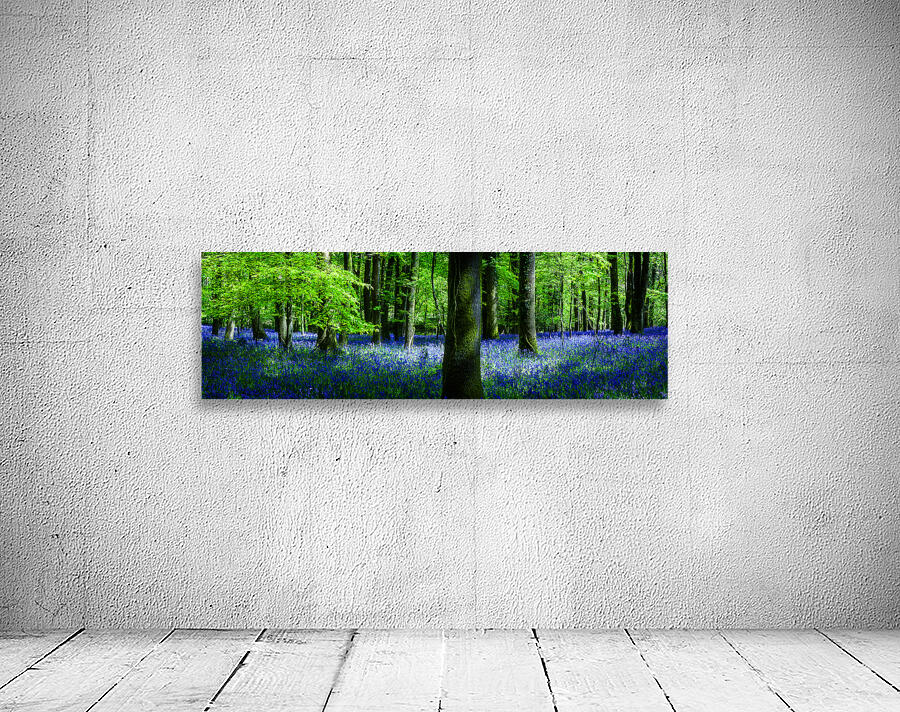 Bluebell Wood Devon Wall Preview