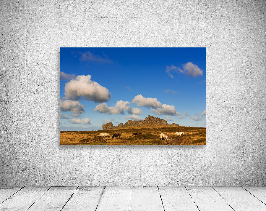Hound Tor Dartmoor Devon Wall Preview
