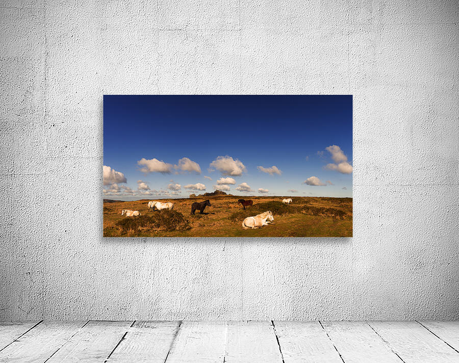 Hound Tor Dartmoor Devon Wall Preview