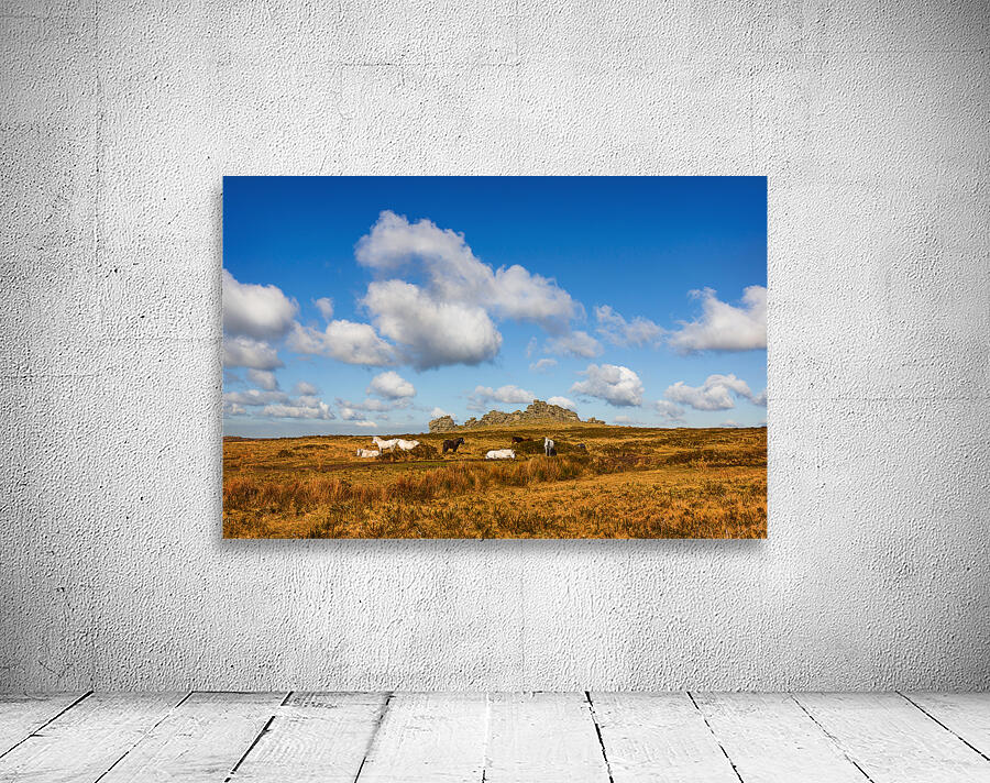 Hound Tor Dartmoor Devon Wall Preview
